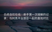 白虎自扣在线｜新手第一次接触的记录：与同类平台放在一起的直观对比