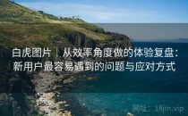 白虎图片｜从效率角度做的体验复盘：新用户最容易遇到的问题与应对方式