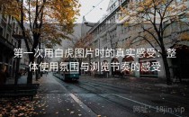 第一次用白虎图片时的真实感受：整体使用氛围与浏览节奏的感受