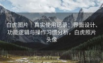 白虎图片｜真实使用记录：界面设计、功能逻辑与操作习惯分析，白虎照片头像