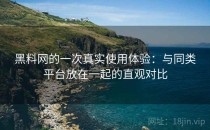 黑料网的一次真实使用体验：与同类平台放在一起的直观对比