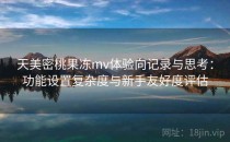 天美密桃果冻mv体验向记录与思考：功能设置复杂度与新手友好度评估