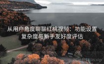 从用户角度聊聊红桃视频：功能设置复杂度与新手友好度评估