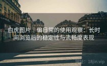 白虎图片｜偏日常的使用观察：长时间浏览后的稳定性与流畅度表现