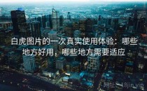 白虎图片的一次真实使用体验：哪些地方好用，哪些地方需要适应