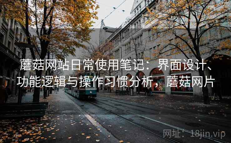 蘑菇网站日常使用笔记：界面设计、功能逻辑与操作习惯分析，蘑菇网片