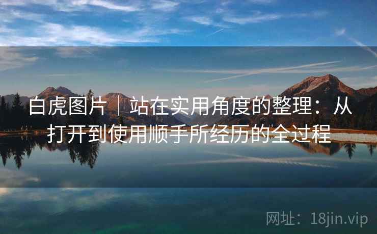 白虎图片｜站在实用角度的整理：从打开到使用顺手所经历的全过程  第2张