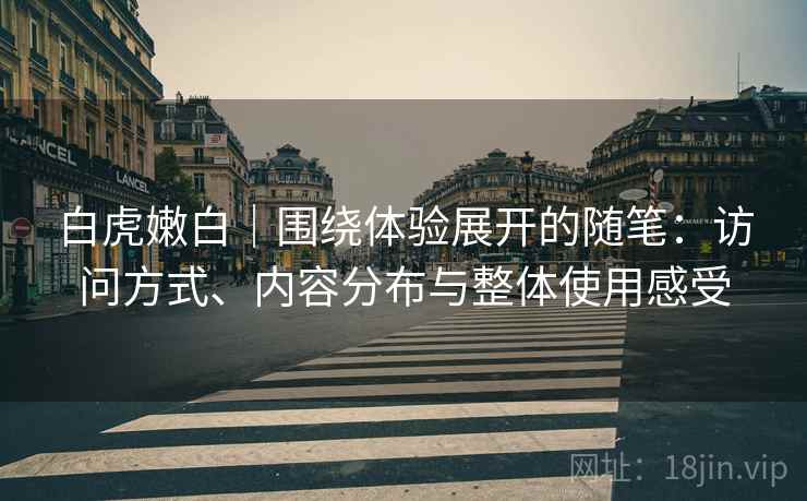 白虎嫩白｜围绕体验展开的随笔：访问方式、内容分布与整体使用感受  第2张