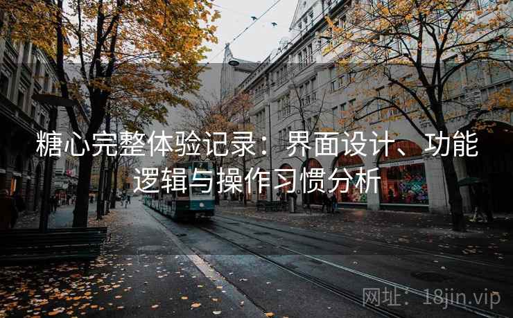 糖心完整体验记录：界面设计、功能逻辑与操作习惯分析  第2张