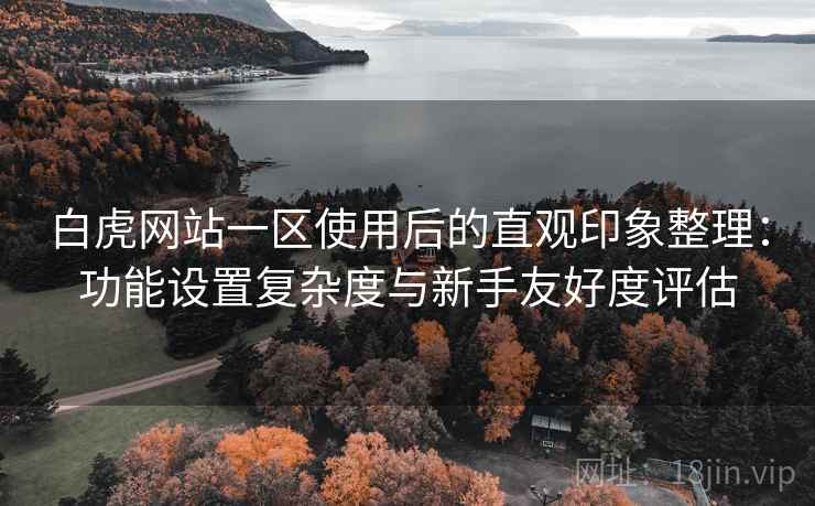 白虎网站一区使用后的直观印象整理：功能设置复杂度与新手友好度评估  第1张