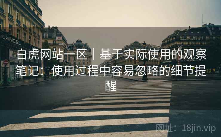 白虎网站一区｜基于实际使用的观察笔记：使用过程中容易忽略的细节提醒  第1张