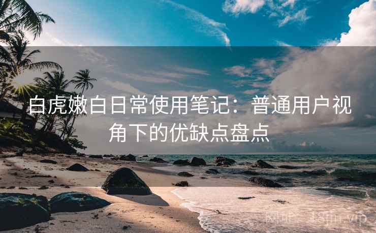 白虎嫩白日常使用笔记：普通用户视角下的优缺点盘点  第2张