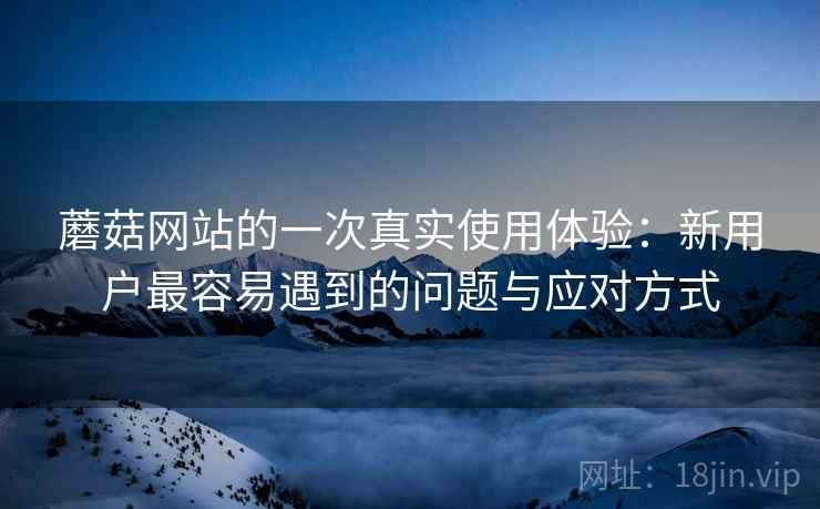蘑菇网站的一次真实使用体验:新用户最容易遇到的问题与应对方式 第2张 蘑菇网站的一次真实使用体验:新用户最容易遇到的问题与应对方式 第2张