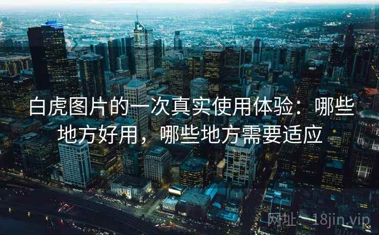 白虎图片的一次真实使用体验:哪些地方好用,哪些地方需要适应 第1张 白虎图片的一次真实使用体验:哪些地方好用,哪些地方需要适应 第1张
