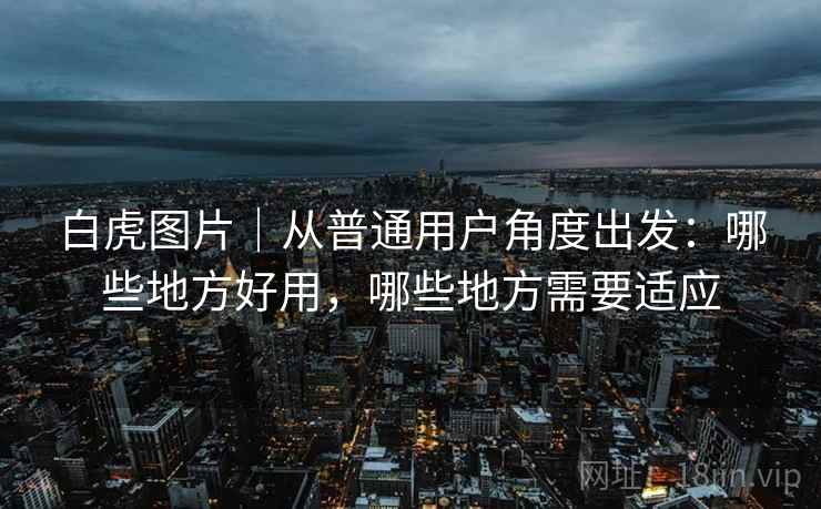 白虎图片|从普通用户角度出发:哪些地方好用,哪些地方需要适应 第2张 白虎图片|从普通用户角度出发:哪些地方好用,哪些地方需要适应 第2张