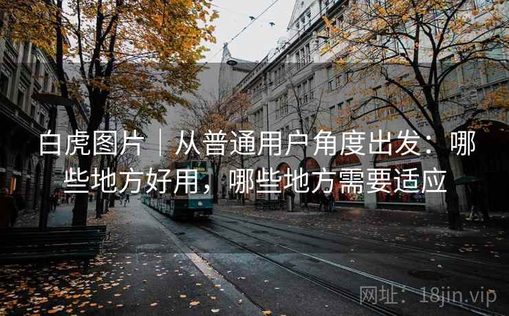 白虎图片|从普通用户角度出发:哪些地方好用,哪些地方需要适应 第1张 白虎图片|从普通用户角度出发:哪些地方好用,哪些地方需要适应 第1张