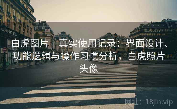 白虎图片|真实使用记录:界面设计、功能逻辑与操作习惯分析,白虎照片头像 第2张 白虎图片|真实使用记录:界面设计、功能逻辑与操作习惯分析,白虎照片头像 第2张