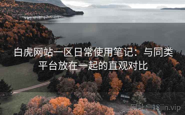 白虎网站一区日常使用笔记:与同类平台放在一起的直观对比 第2张 白虎网站一区日常使用笔记:与同类平台放在一起的直观对比 第2张