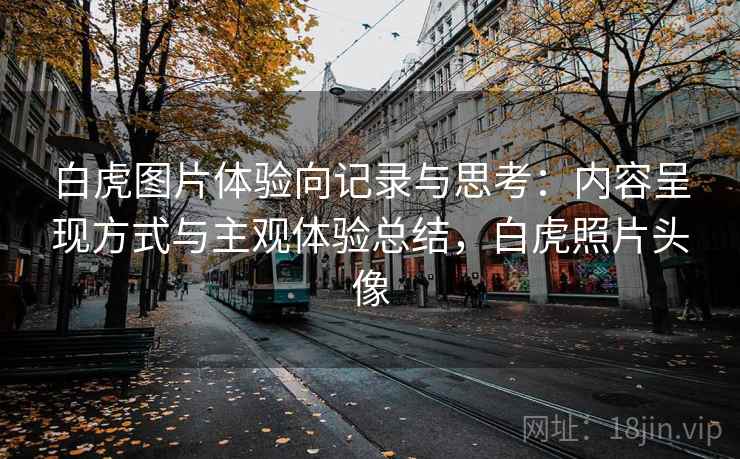 白虎图片体验向记录与思考:内容呈现方式与主观体验总结,白虎照片头像 白虎图片体验向记录与思考:内容呈现方式与主观体验总结,白虎照片头像