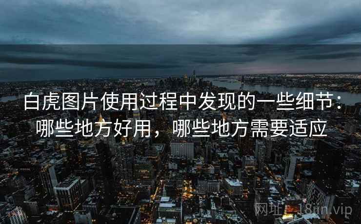 白虎图片使用过程中发现的一些细节：哪些地方好用，哪些地方需要适应  第2张