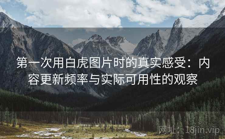 第一次用白虎图片时的真实感受:内容更新频率与实际可用性的观察 第1张 第一次用白虎图片时的真实感受:内容更新频率与实际可用性的观察 第1张
